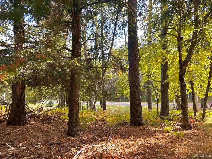 TBD W Gulliver Lake, Gulliver, MI 49840 - #3