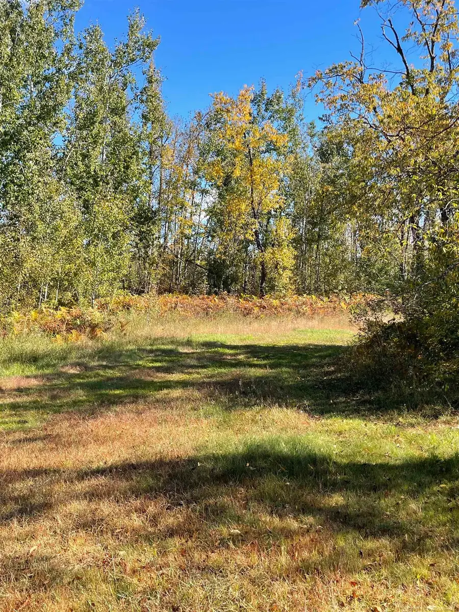 9240 N Elmac Circle, Gaylord, MI 49735 - #3