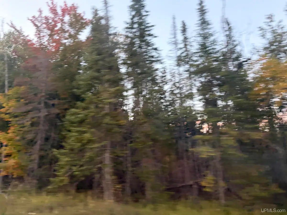 TBD W Quarry Rd, Gulliver, MI 49840 - #1