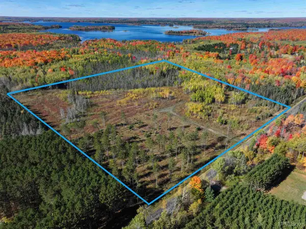 20 Acres Phelan, Crystal Falls, MI 49920