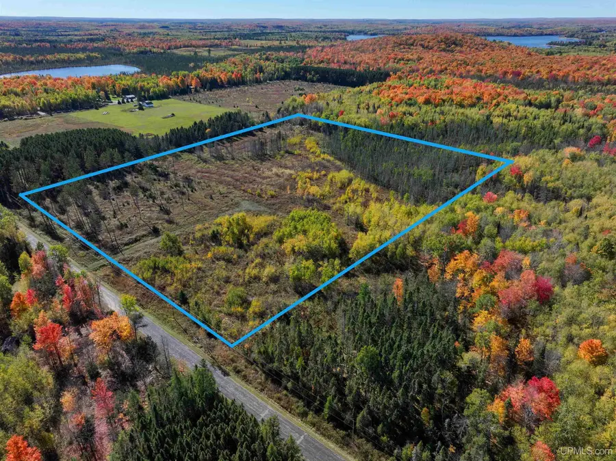 20 Acres Phelan, Crystal Falls, MI 49920 - #2