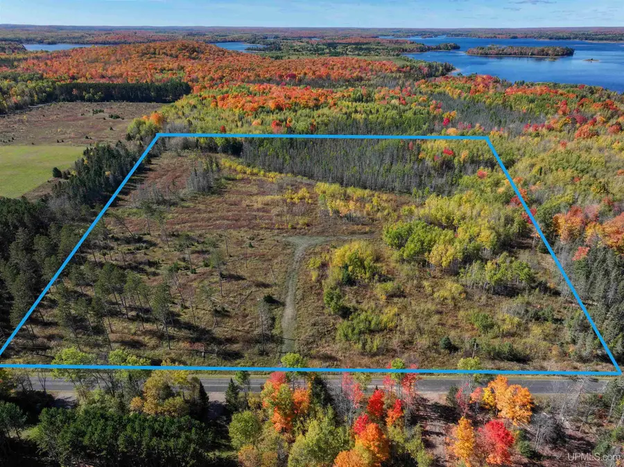 20 Acres Phelan, Crystal Falls, MI 49920 - #3