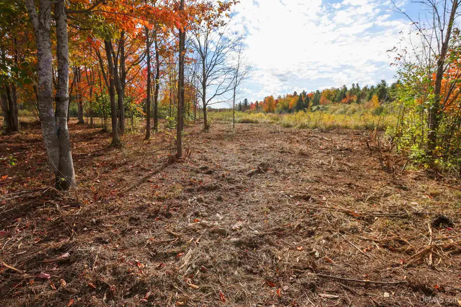 Lot A Paavola, Hancock, MI 49930 - #2