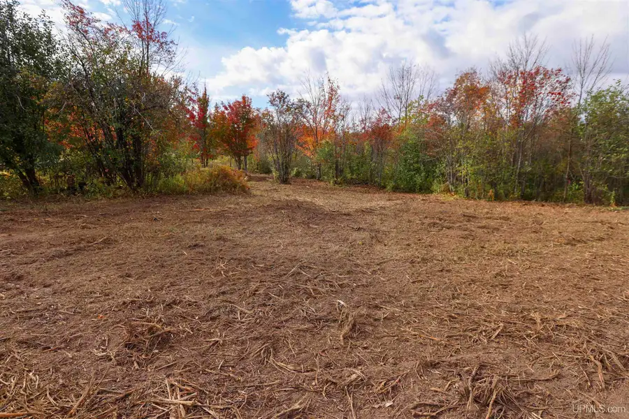 Lot A Paavola, Hancock, MI 49930 - #3