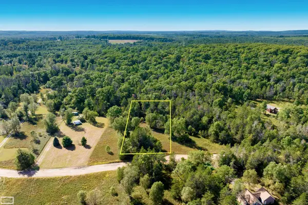 0 Beaver Creek Trail, Roscommon, MI 48653