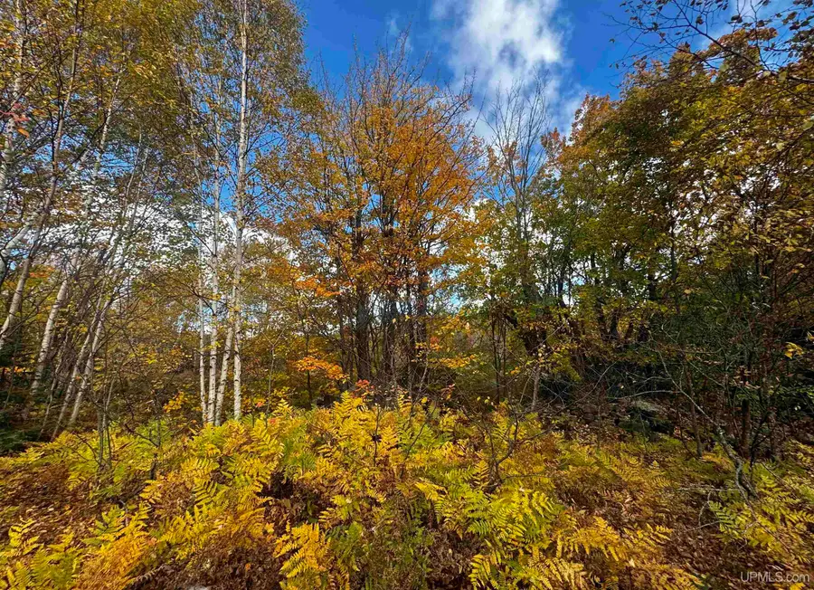 20191 Keranen, Lanse, MI 49946 - #2