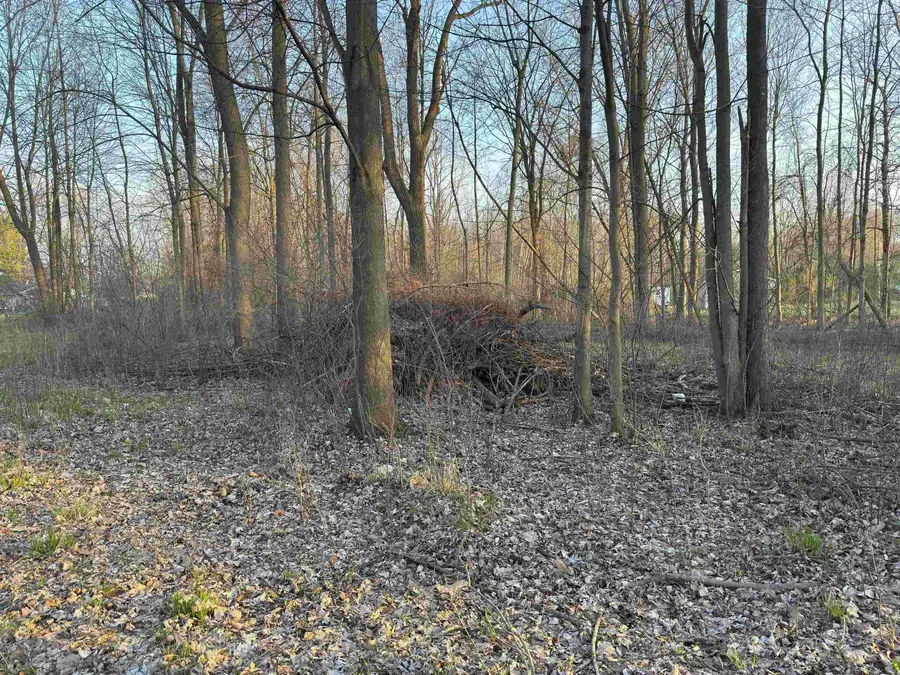 00 Bridgehampton, Sandusky, MI 48471 - #3