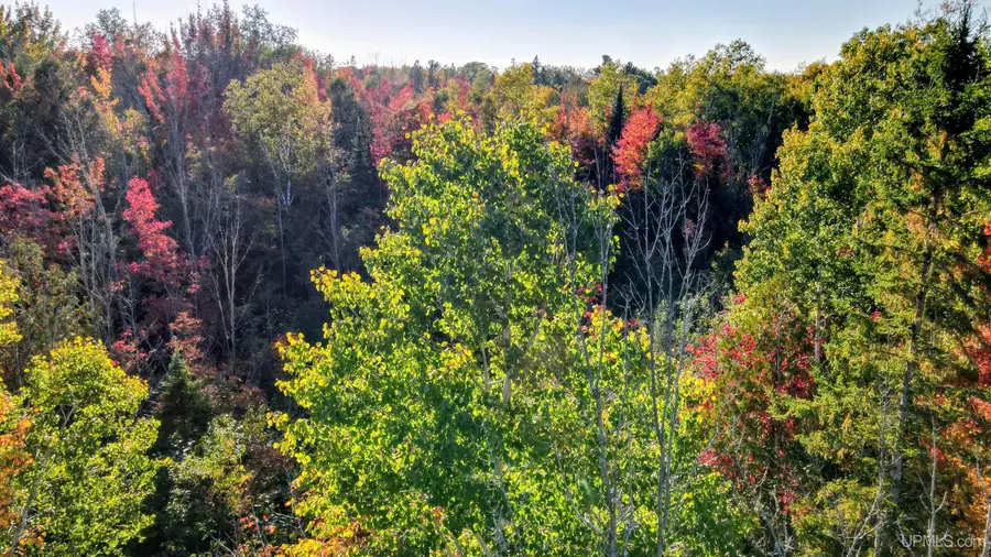tbd Rauhala, Atlantic Mine, MI 49905 - #2