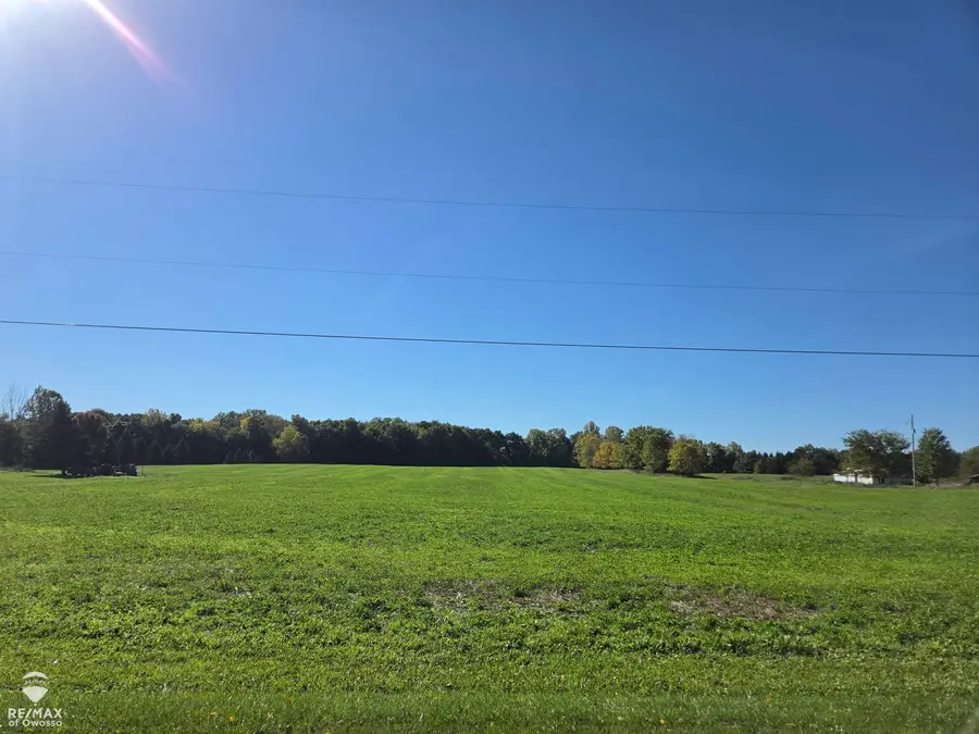 711 W Bennington, Owosso, MI 48867 - #2