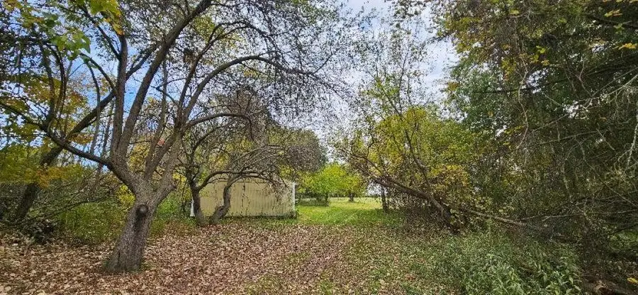 00 Lemon, Bancroft, MI 48414 - #2