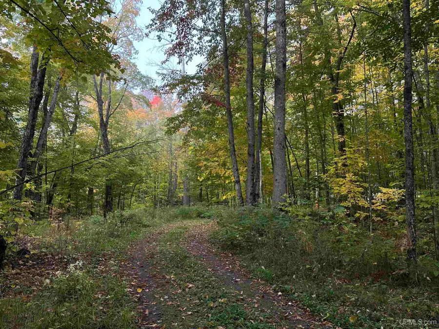 Off East Shore, Marenisco, MI 49947 - #3