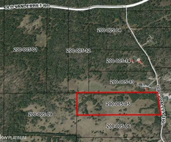 0 Birch Valley, Vanderbilt, MI 49795