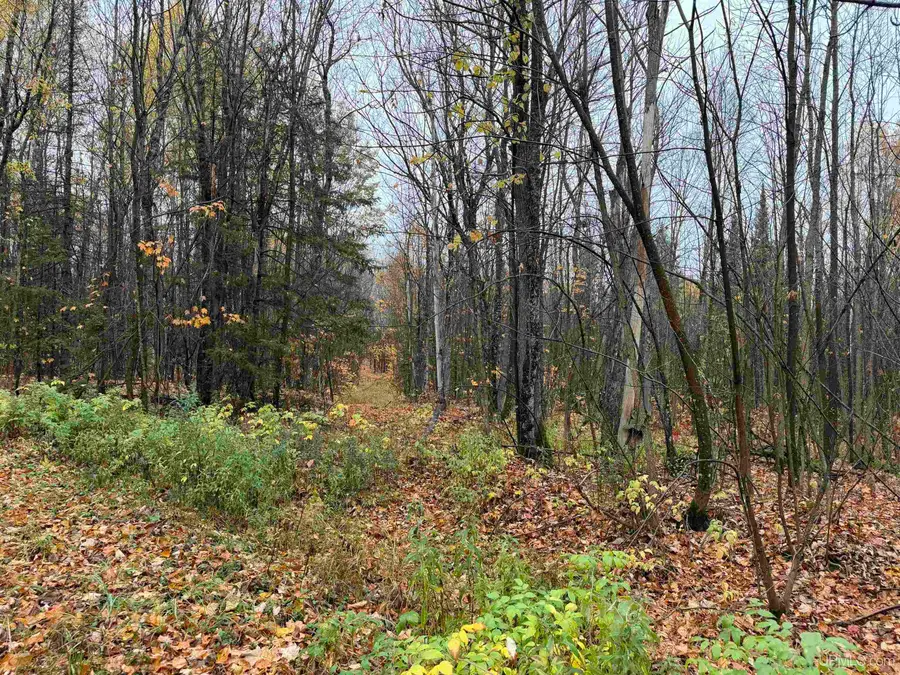State 77, Upson, WI 54534 - #2