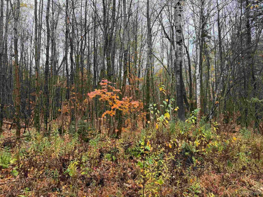 State 77, Upson, WI 54534 - #3