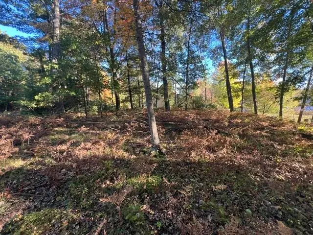 Lot 137 Timberlane, Lake, MI 48632 - #3
