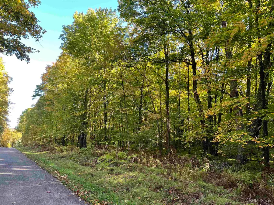 Lot 6 Porcupine Lake, Long Lake, WI 54542 - #2