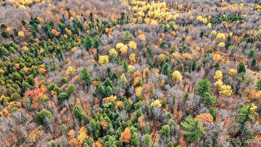 OFF Chaney Lake, Bessemer, MI 49911 - #2