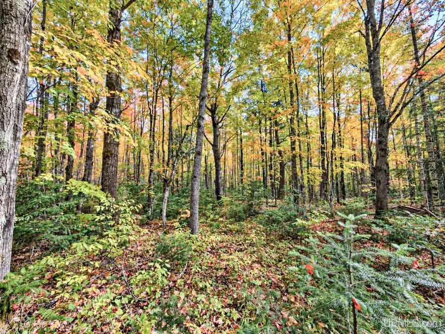 On Lakeshore, Bessemer, MI 49911 - #3