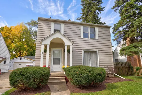 217 S Franklin, Flint, MI 48503