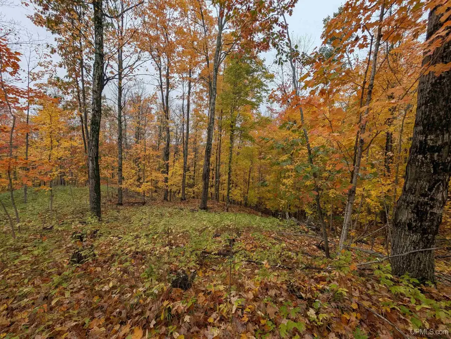 TBD Youngs, Gwinn, MI 49841 - #3