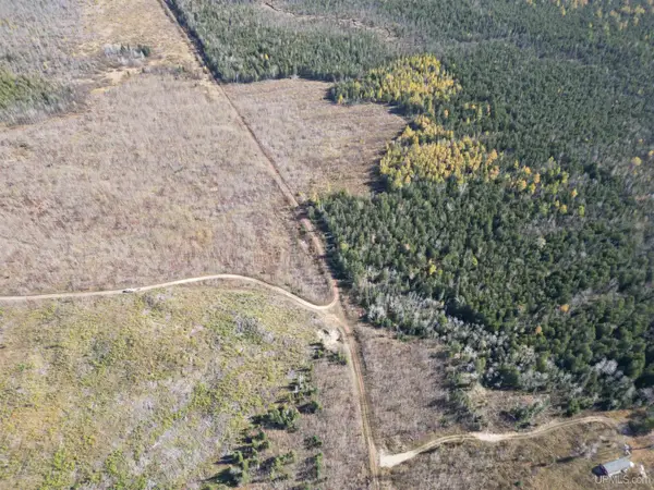 TBD Off Piney, Hermansville, MI 49847
