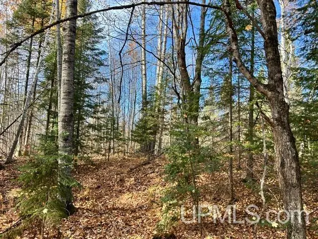 Parcel 4 Crooked, Chassell, MI 49916 - #1