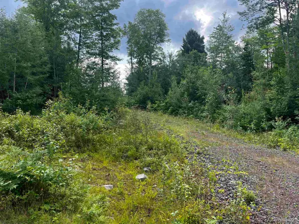 140 Acres Holli Blue, Republic, MI 49879