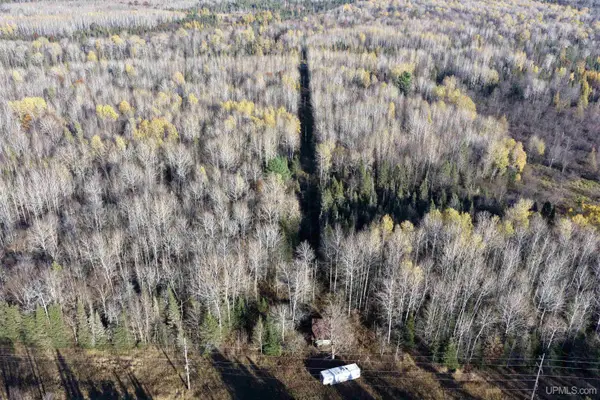 3254 Old 45, Bruce Crossing, MI 49912