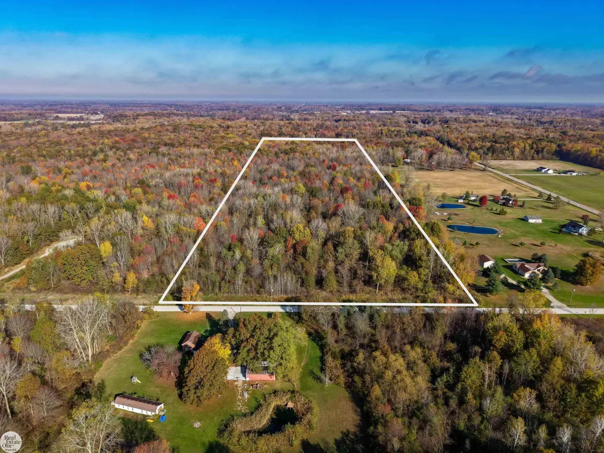 8066 Puttygut, Casco, MI 48064 - #1
