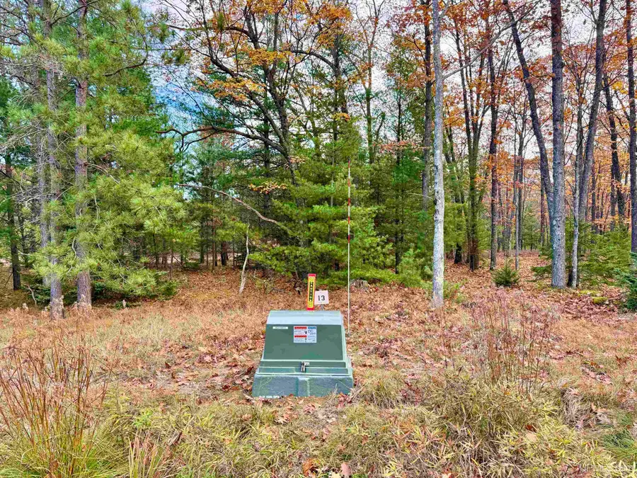 TBD Stagecoach Q.5 Unit 13, Gladstone, MI 49837 - #3