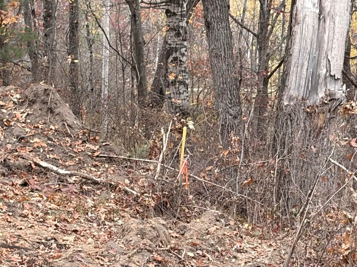 1.08 Acres A-6 N Harding, Harrison, MI 48625 - #1