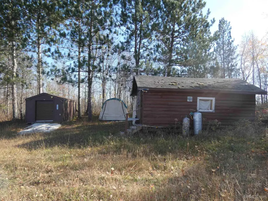 11525 M-28, Trout Creek, MI 49967 - #3