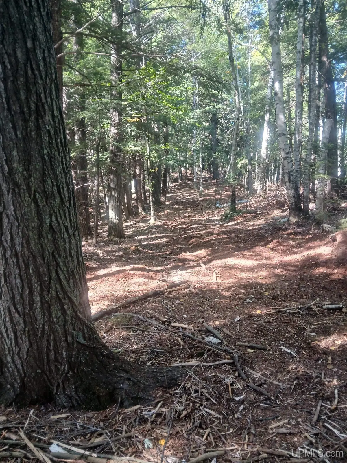 TBD Off Dump Road, Big Bay, MI 49808 - #1