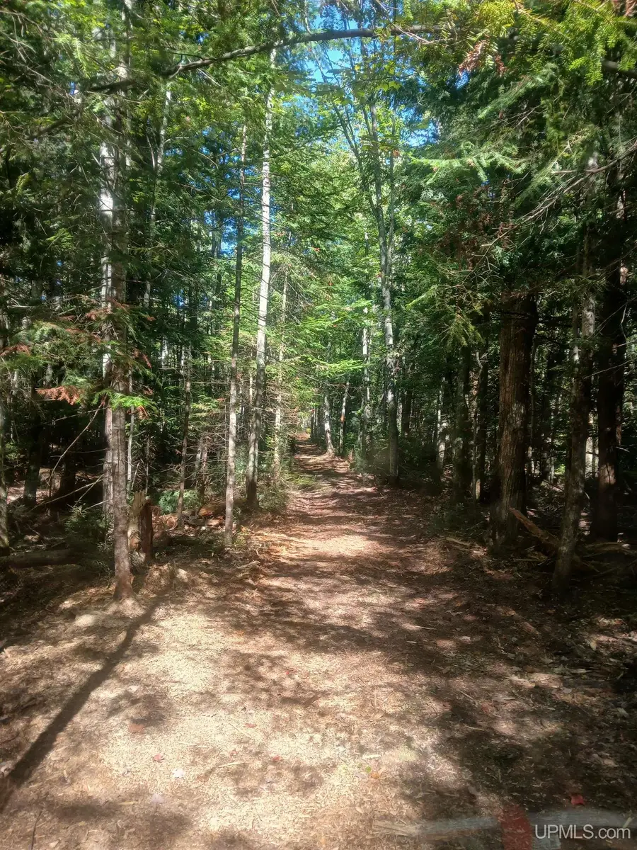TBD Off Dump Road, Big Bay, MI 49808 - #2