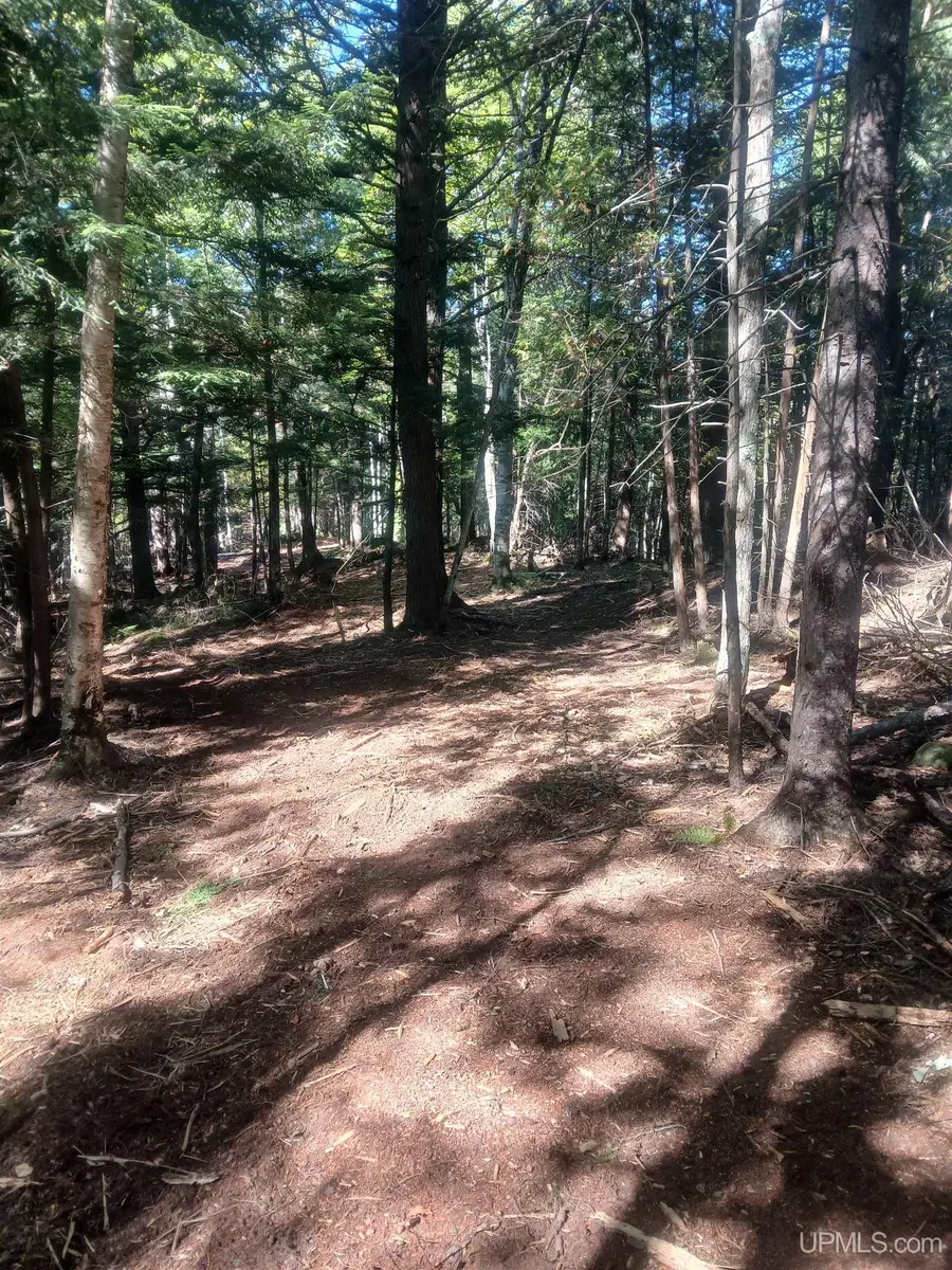 TBD Off Dump Road, Big Bay, MI 49808 - #3
