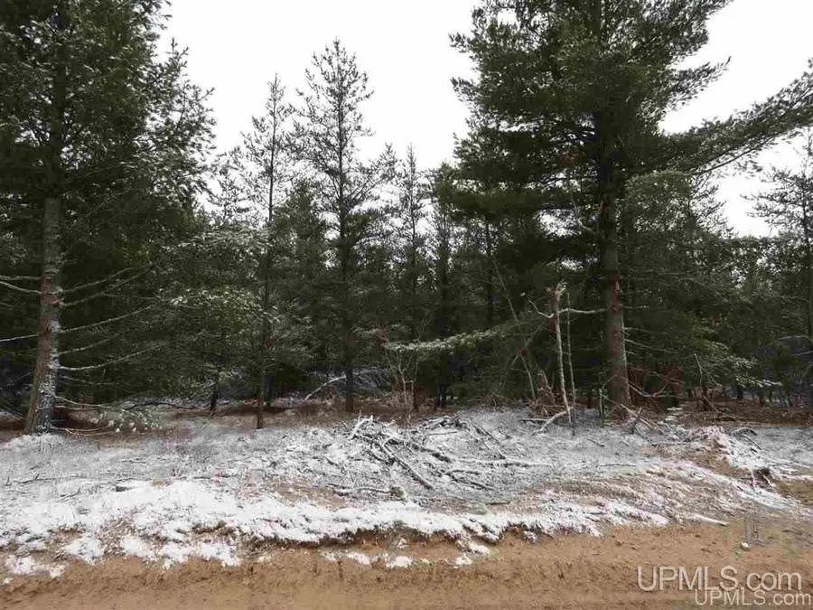 220 Acres Aaa, Michigamme, MI 49808 - #2