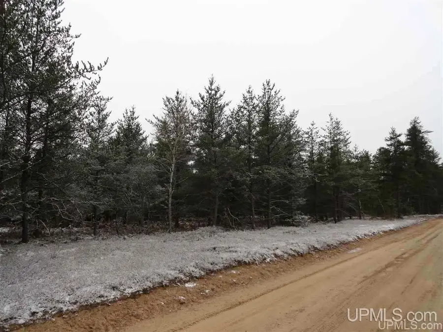 220 Acres Aaa, Michigamme, MI 49808 - #3