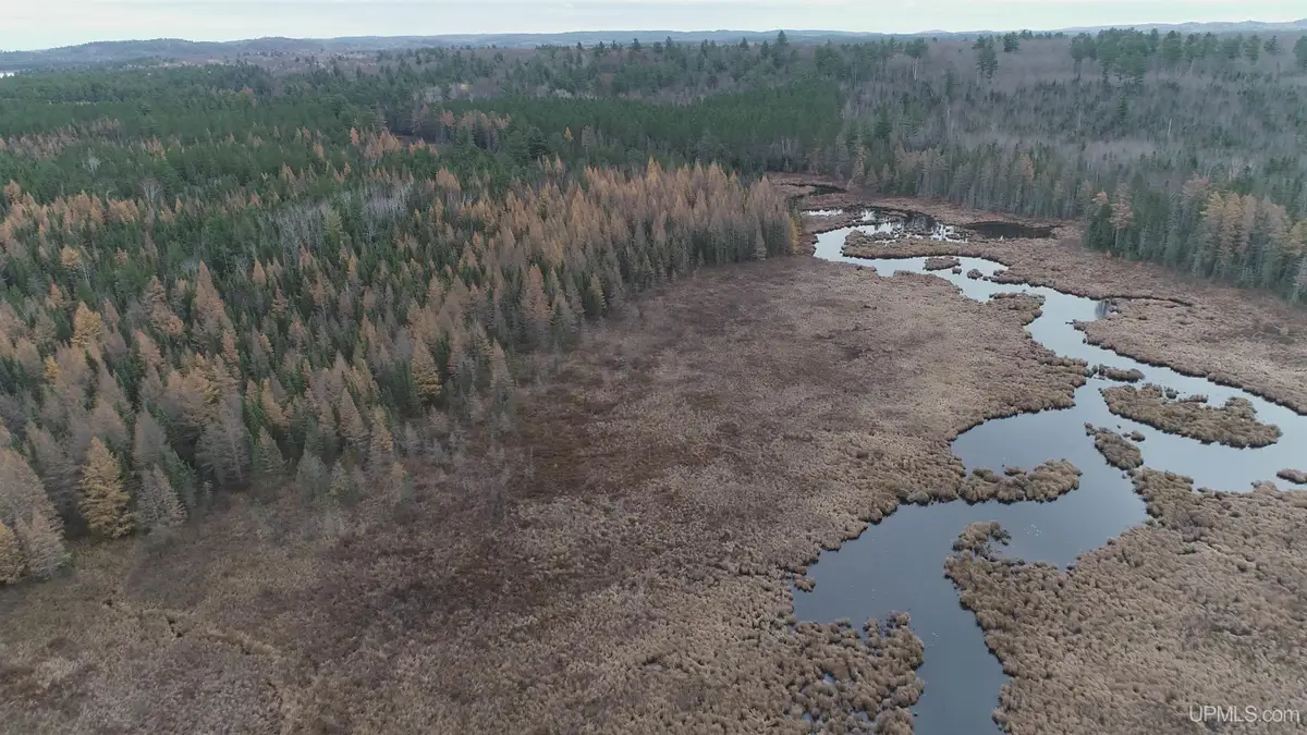 40 acres off County Rd Cco, Ishpeming, MI 49849 - #1