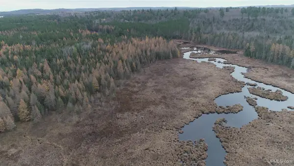 40 acres off County Rd Cco, Ishpeming, MI 49849