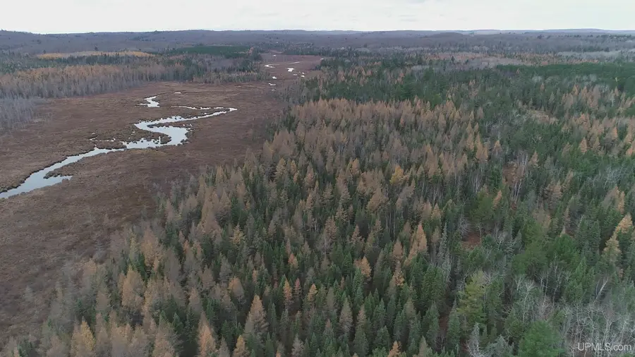 40 acres off County Rd Cco, Ishpeming, MI 49849 - #2