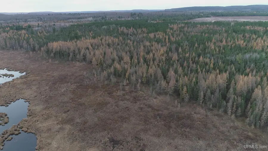 40 acres off County Rd Cco, Ishpeming, MI 49849 - #3