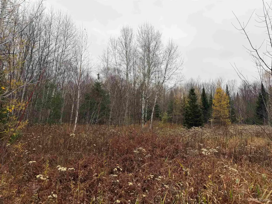 TBD Airport, Ironwood, MI 49937 - #3