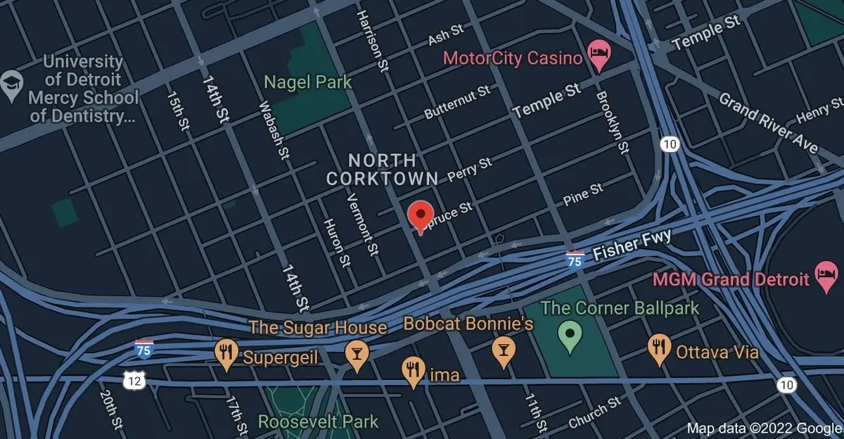 2628 Rosa Parks Blvd, Detroit, MI  - Image #1