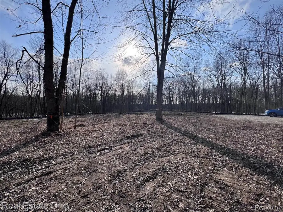 5700 Rolling Hills, Rochester, MI 48306 - Image #3