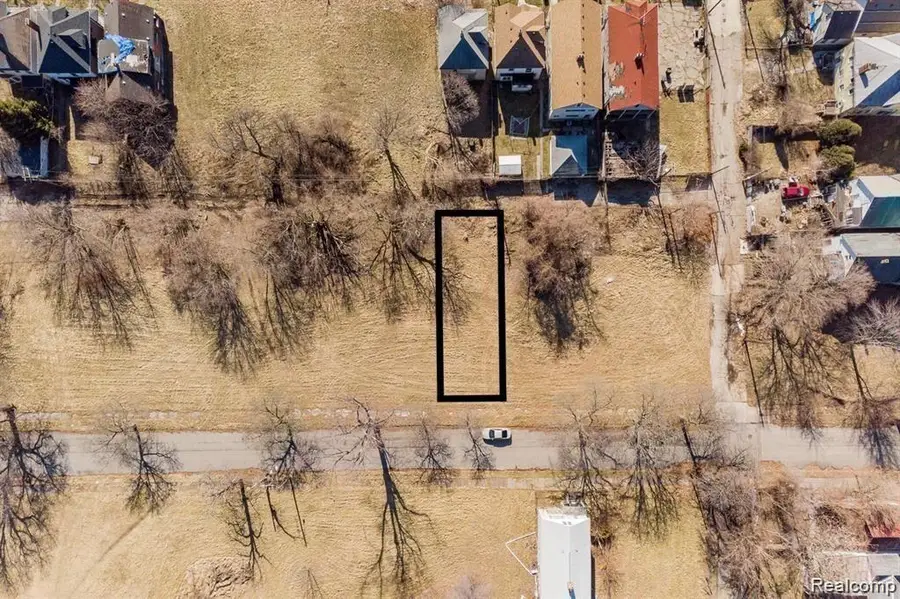 3350 Arndt, Detroit, MI 48207 - #2