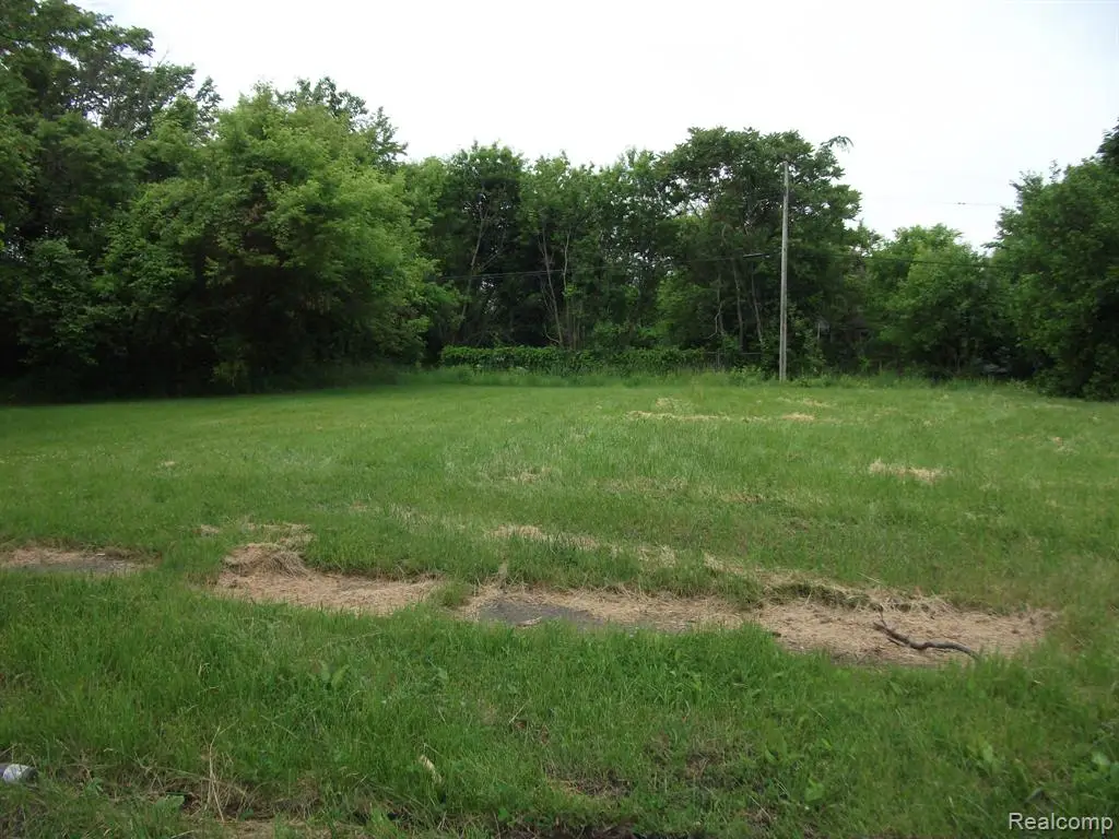 5915 Sheridan, Detroit, MI 48213 - #1