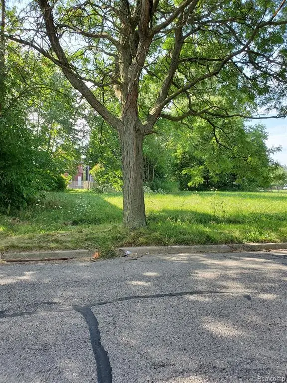 314 Mount Vernon, Grosse Pointe Farms, MI 48236 - #1