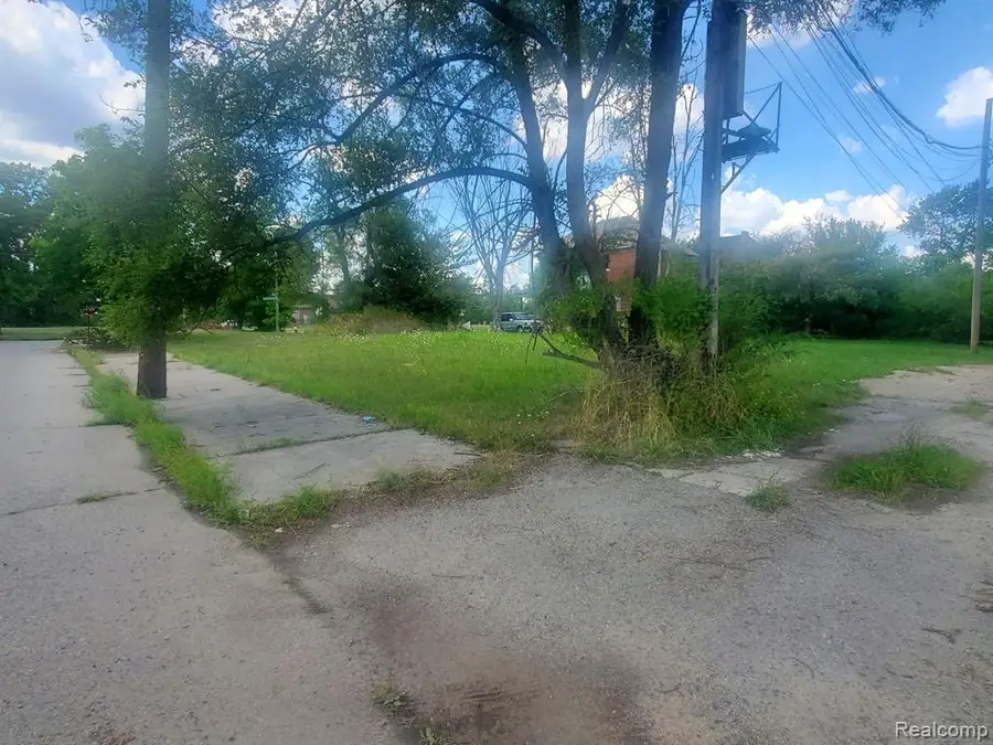 6102 Rosa Parks, Detroit, MI 48208 - #3