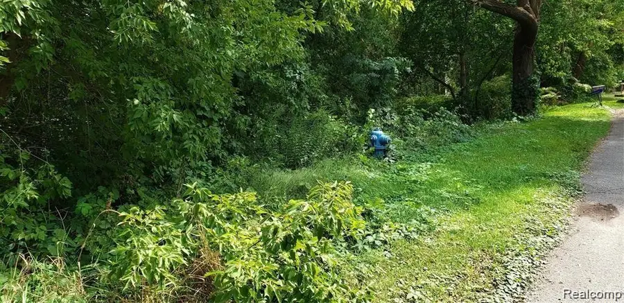 0000 Daffodil, Waterford, MI 48327 - #2