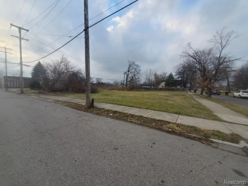 3301 Roosevelt, Detroit, MI 48208 - #2
